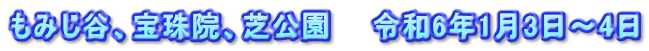 もみじ谷、宝珠院、芝公園　　令和6年1月3日～4日