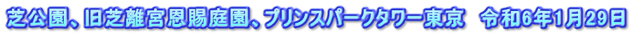 芝公園、旧芝離宮恩賜庭園、プリンスパークタワー東京　令和6年1月29日