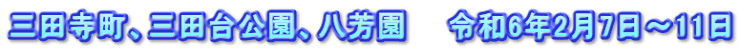 三田寺町、三田台公園、八芳園　　令和6年2月7日～11日