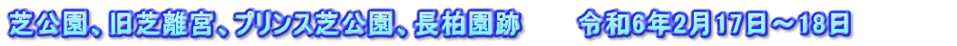 芝公園、旧芝離宮、プリンス芝公園、長柏園跡　　　令和6年2月17日～18日　　　　　