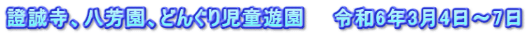 證誠寺、八芳園、どんぐり児童遊園　　令和6年3月4日～7日