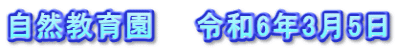 自然教育園　　令和6年3月5日